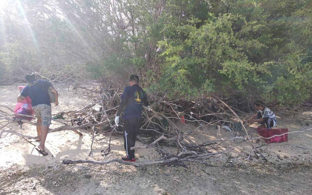 Clean-up Menjangan Island