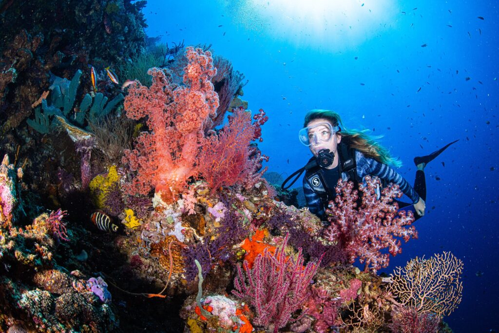 Menjangan Open Water Learn & Stay Package