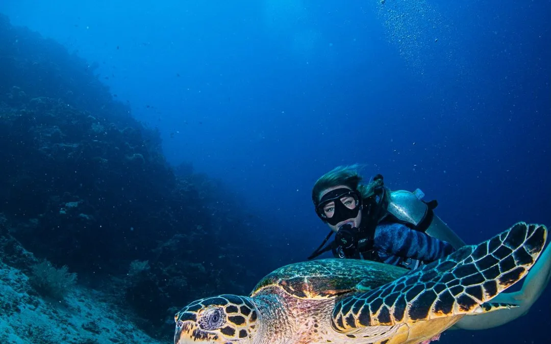 21 Scuba Diving Tips for Beginners (And Why You Should Dive!)
