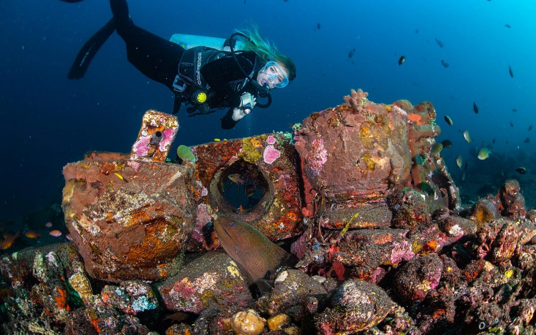 Bali’s BEST Dive Site: USAT Liberty Shipwreck Near Tulamben