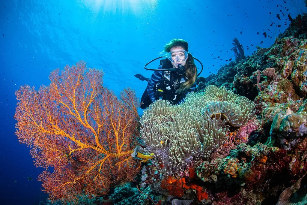 tulamben dive site