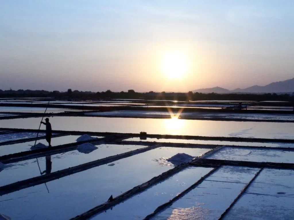 Traditional Salt Panning- Discover an Ancient Craft