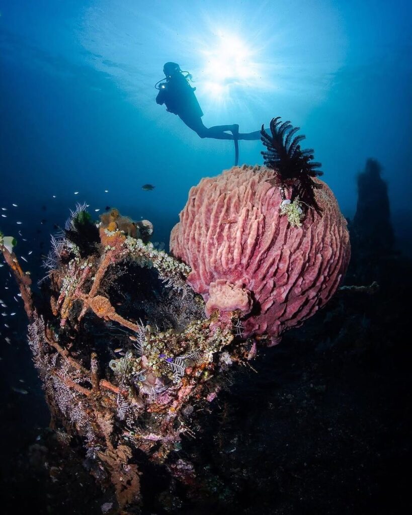 Top 5 Tulamben Dive Sites