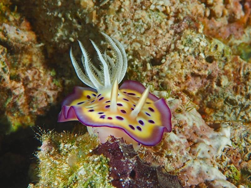 Best West Bali vs East Bali Stay Guide: Choosing the Right Mimpi Hotel Resort for Your Travel Style